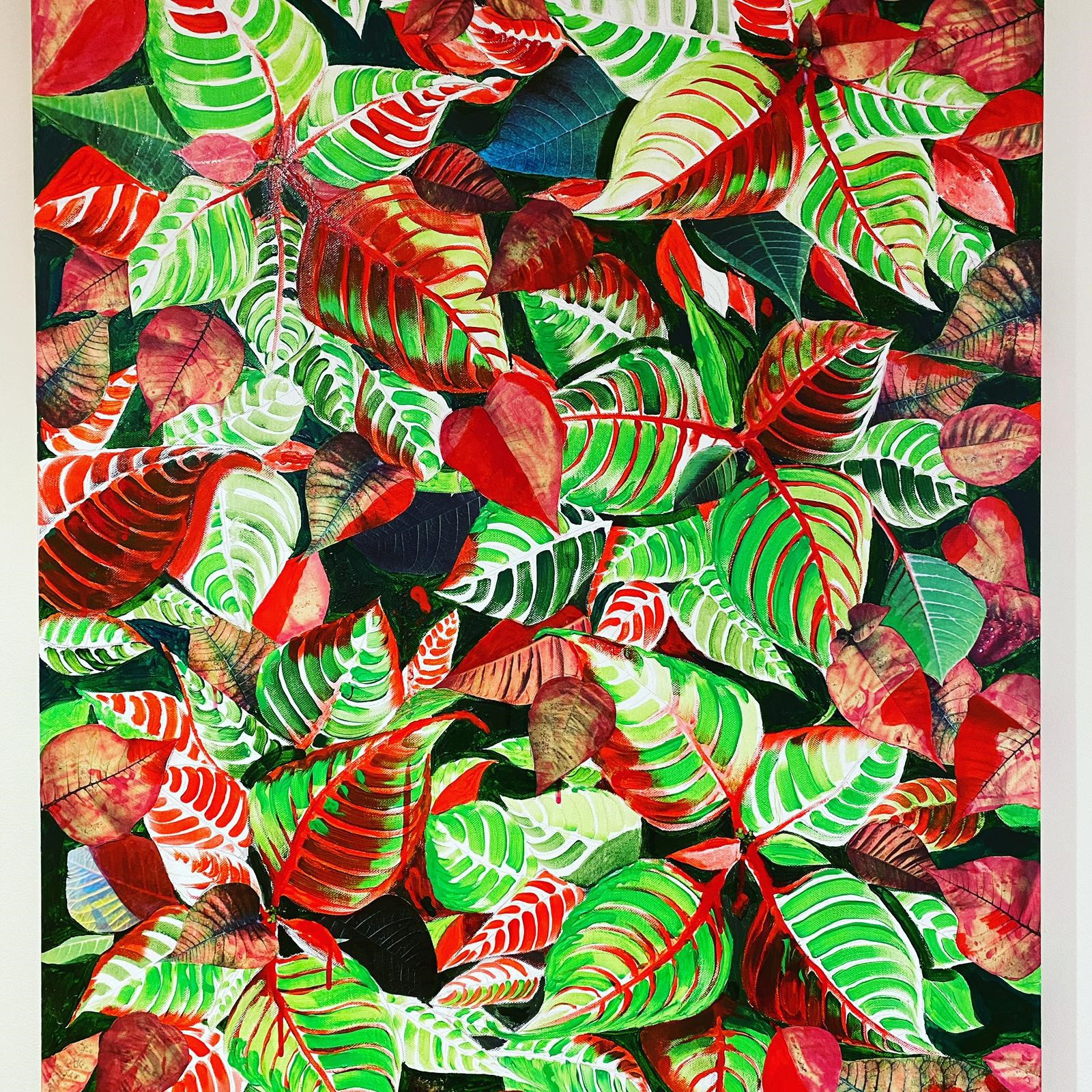 Poinsetta 2020 Poinsetta 2020