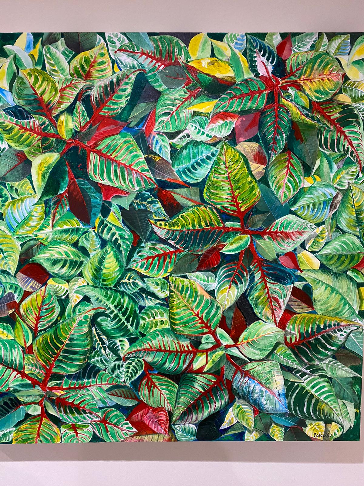 Poinsetta No1 2020 Poinsetta No1 2020